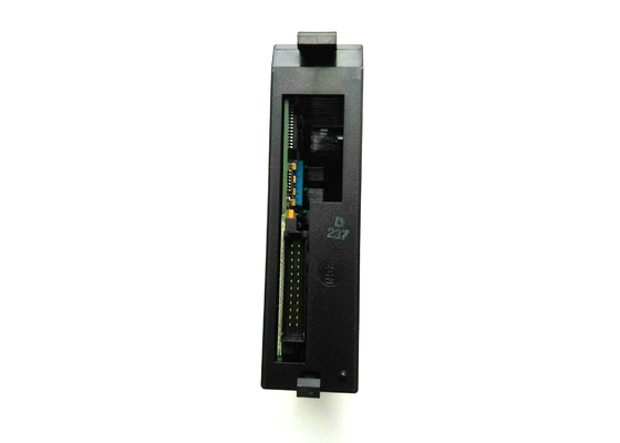 GE FANUC IC693MDL231, 240V AC 절연 입력 모듈, 시리즈 90-30